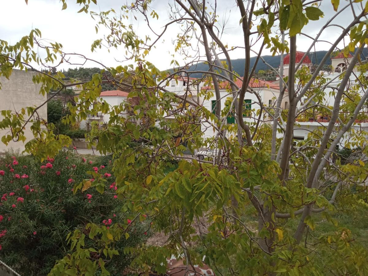 Galatás Bissias Guest House מראה חיצוני תמונה